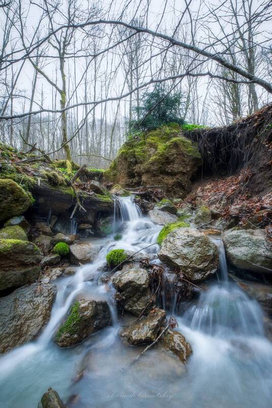 Ручей Сашкова фото превью