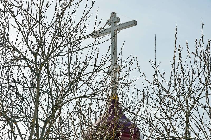 С Вербным воскресеньем! фото превью