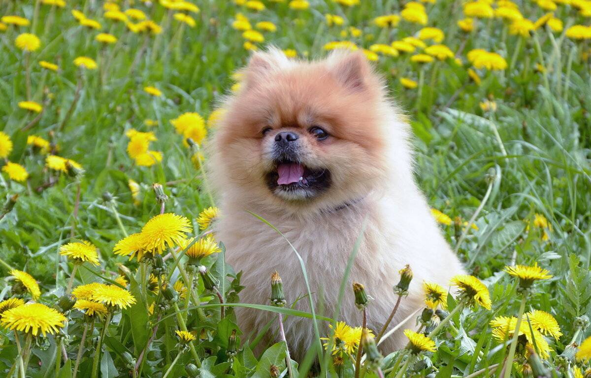 , Клапишевский Сергей