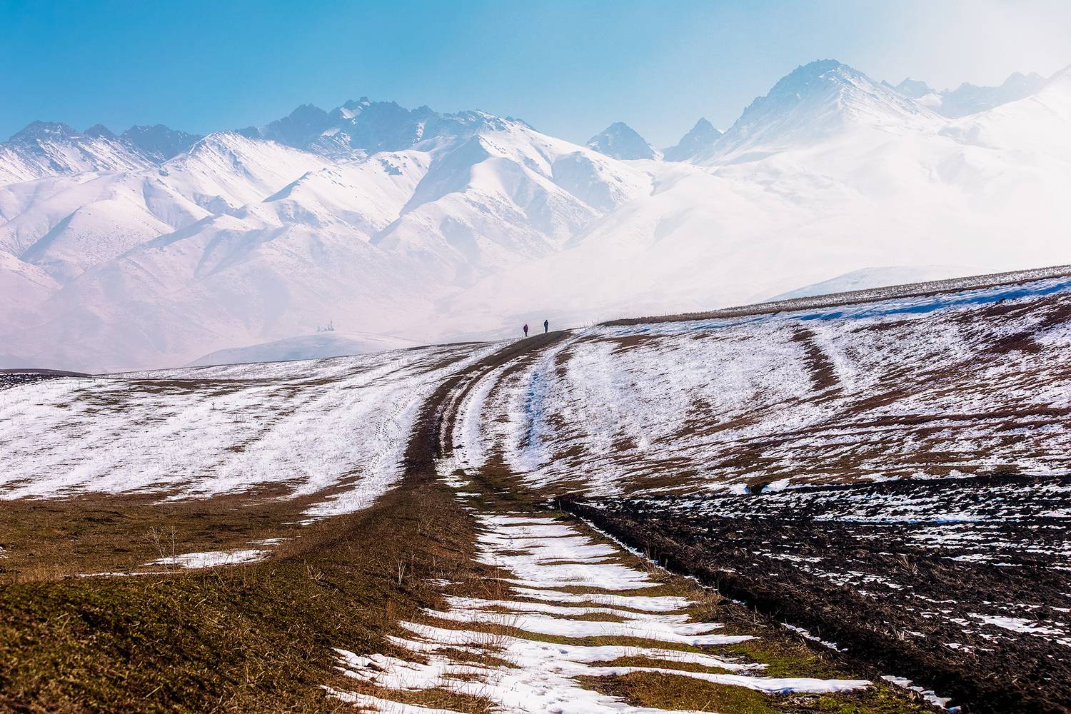 кыргызстан, Элина Магалимова