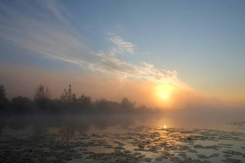 лето, озеро, рассвет, туман, природа, пейзаж Утренний туман и облака. фото превью