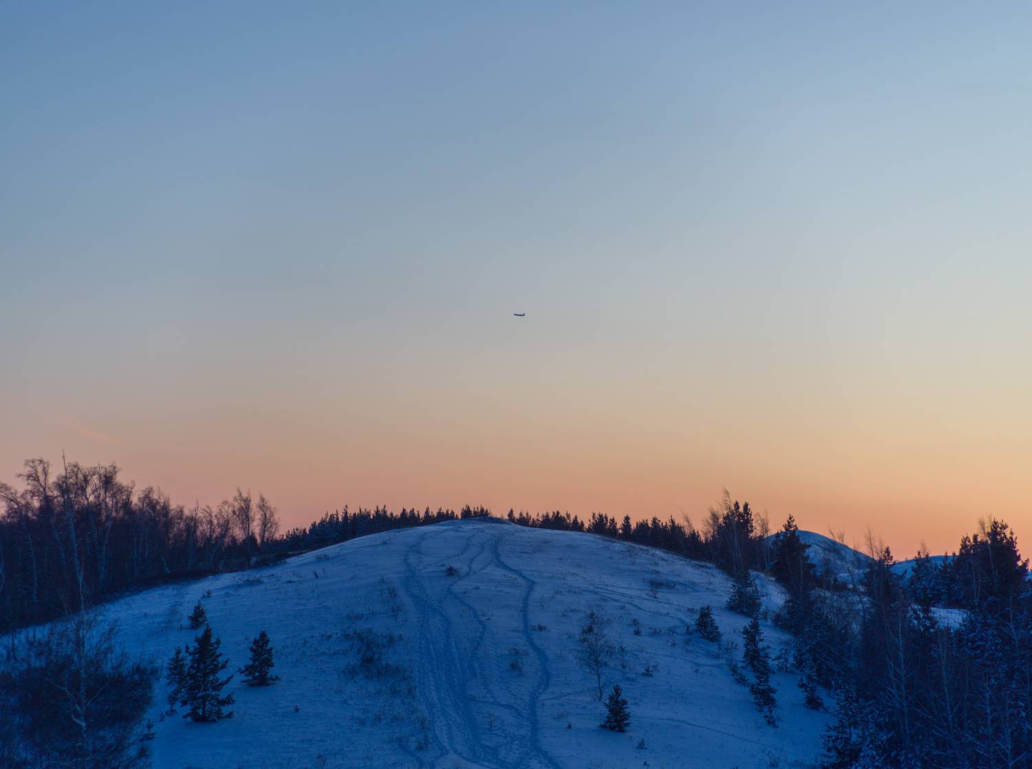 , Шустиков Дмитрий