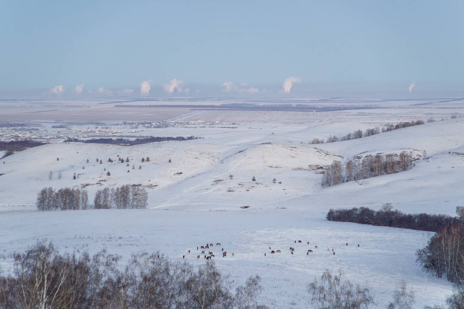 , Шустиков Дмитрий