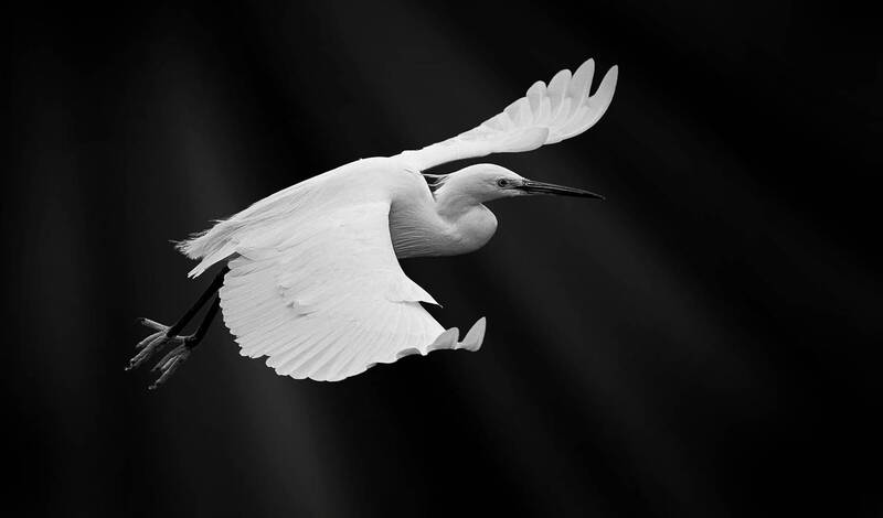 Намибийские истории... фото превью