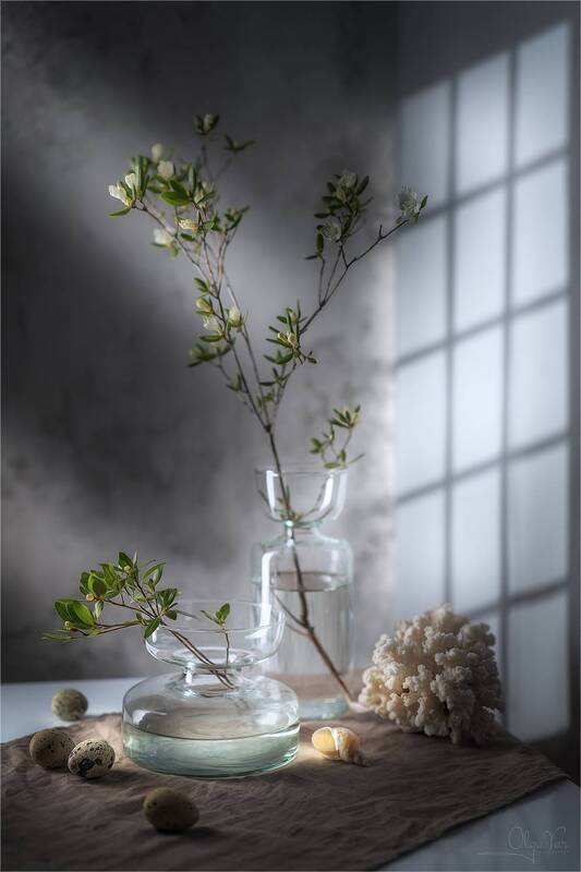 весна, багульник, ваза, цветы, свет  фото превью