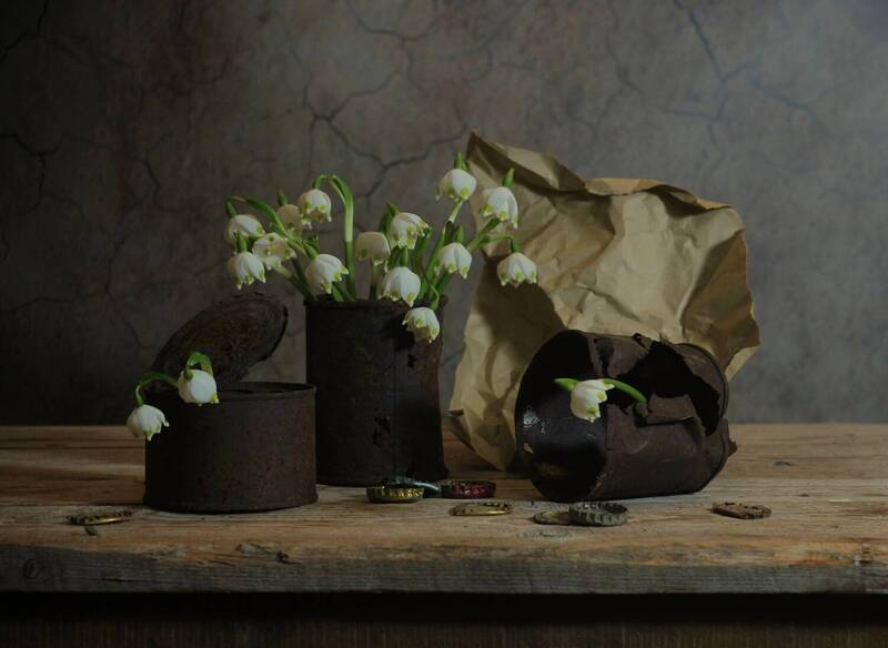 фото превью