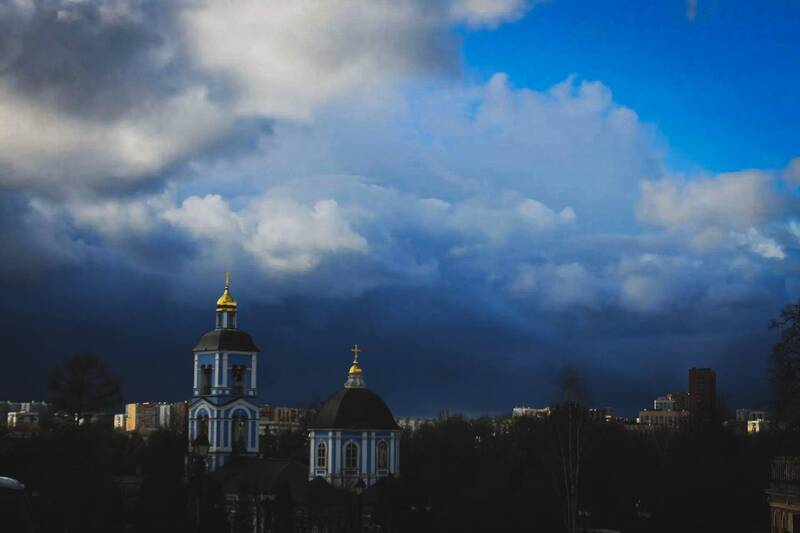 цветы, крокусы, тюльпаны, природа  фото превью