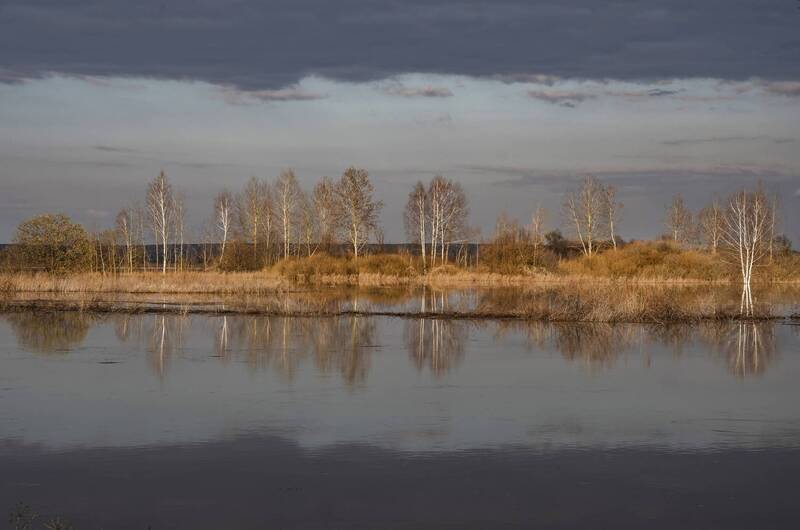 ... фото превью