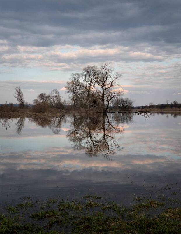 рассвет, восход, разлив, весна  фото превью