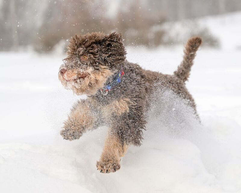 Fanya фото превью