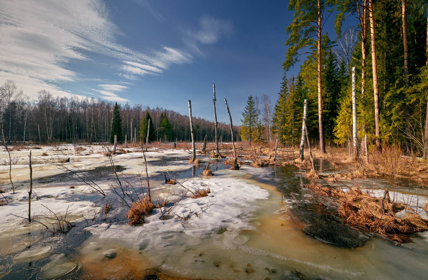, Роман Лушпа