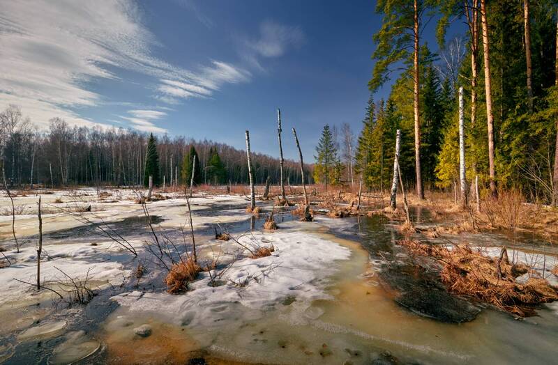 Приболотило ... фото превью
