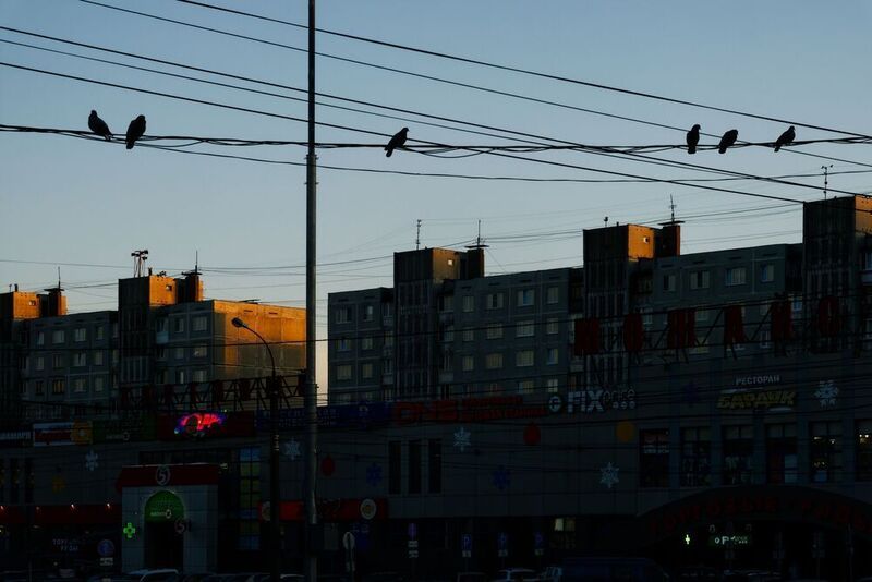 Вечер в спальном районе фото превью