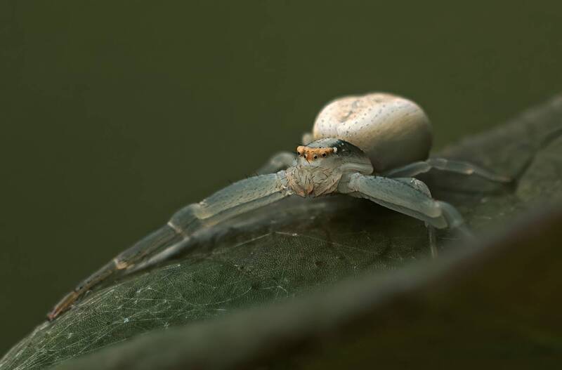 ... фото превью