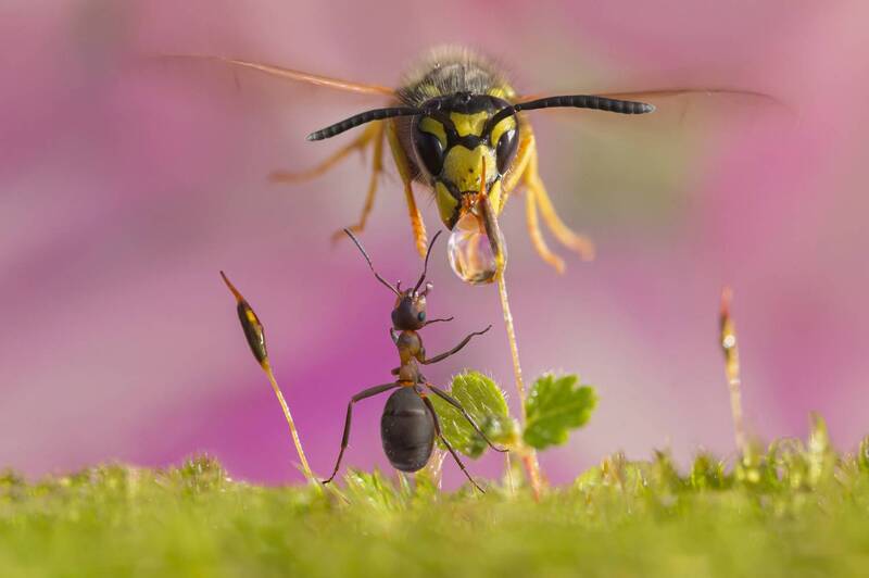 Кто не успел, тот опоздал! фото превью