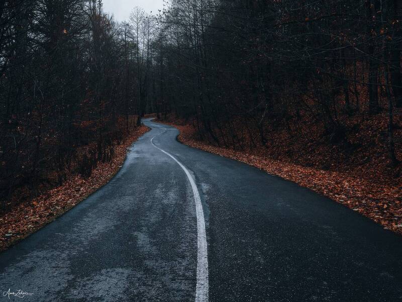 forest, fog, street, travel, photography, landscape, nature, autumn Into the Darkness фото превью