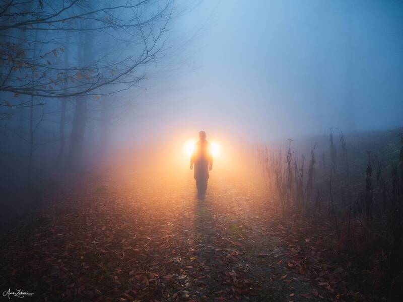 forest, autumn, light, tree, woodland, travel, photography, nature, landscape Dreamy Forest фото превью