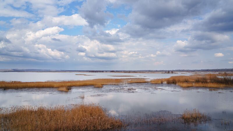 Половодье фото превью