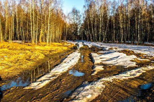 Весенние проталины