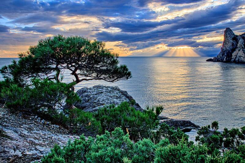 крым Новый Свет фото превью