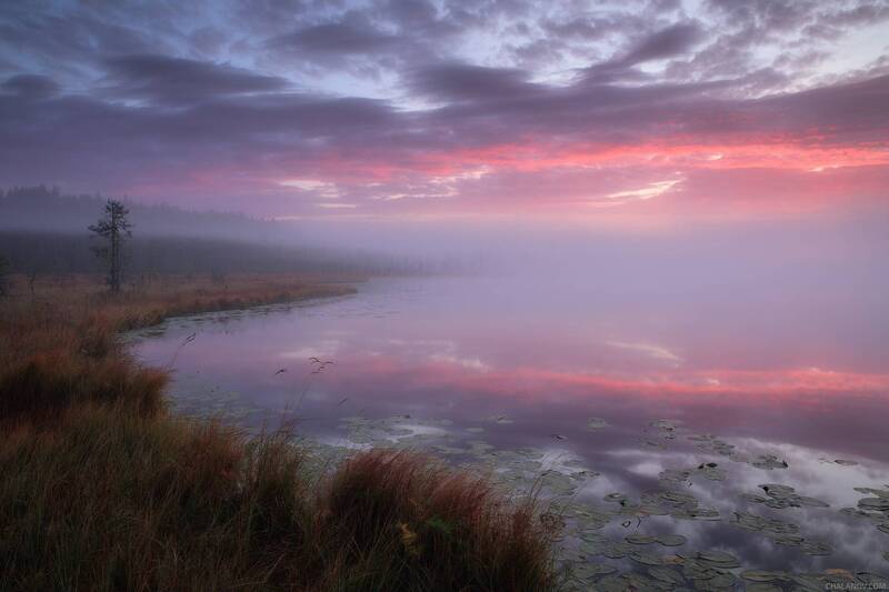 пейзаж, туман, осень, озеро, болото, север, рассвет Туманное утро на озере Ырымвад фото превью