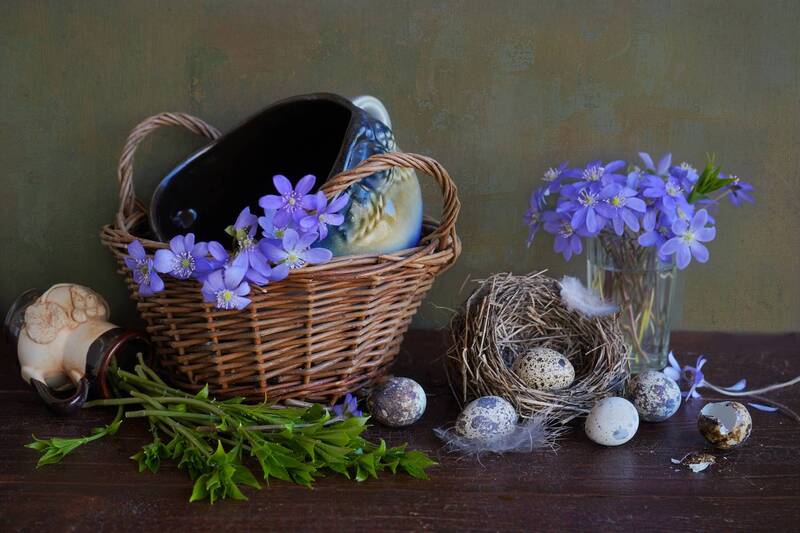 С перепелиными яичками фото превью