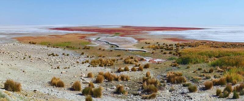 * фото превью