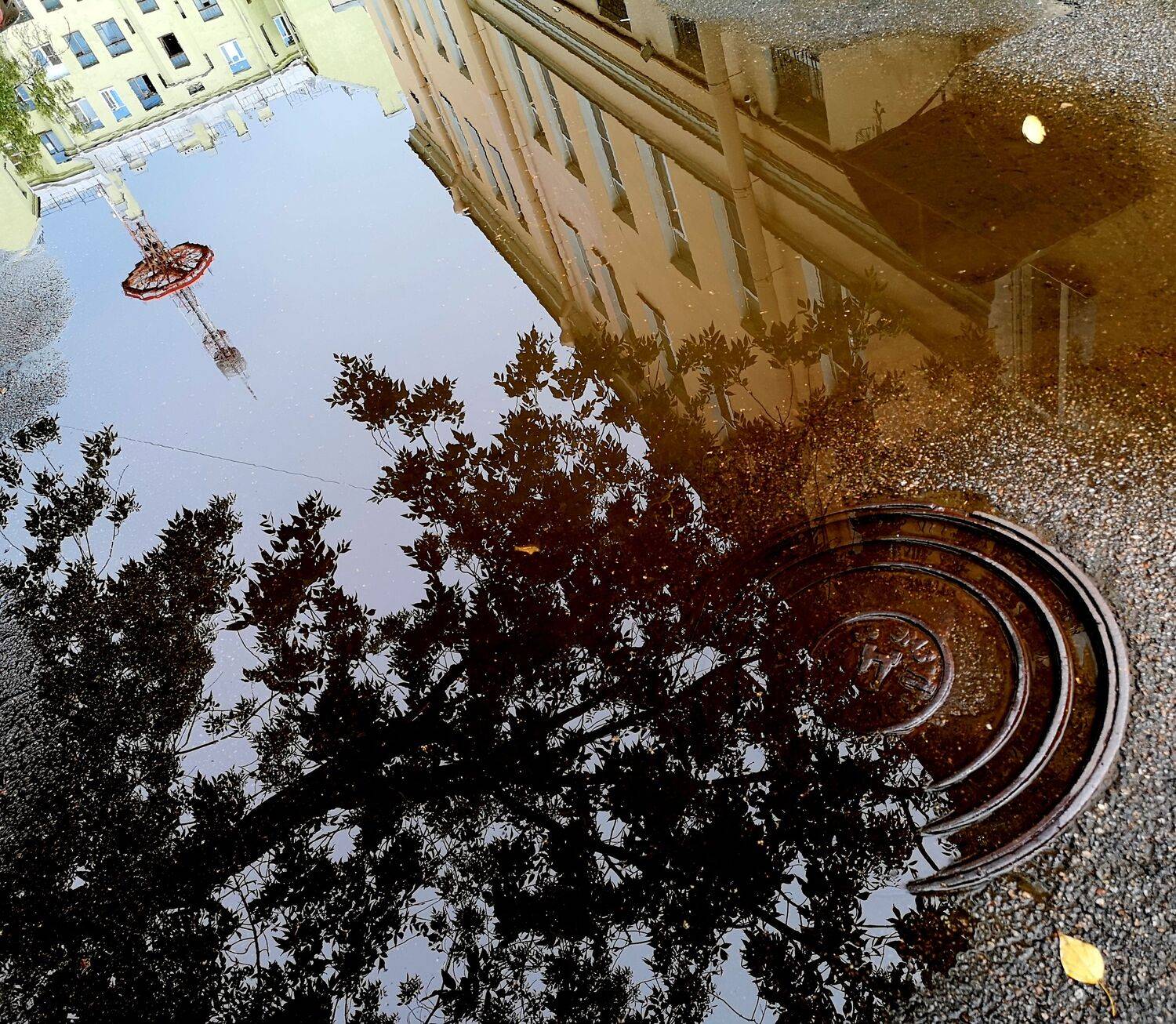 , Антон Лаба