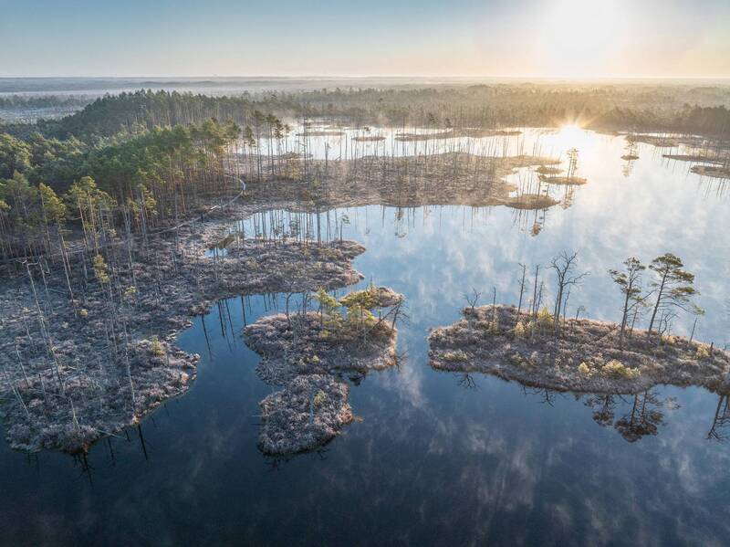 Холодное утро фото превью