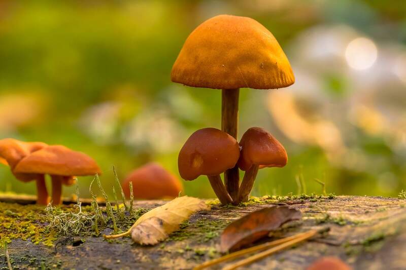 .... фото превью