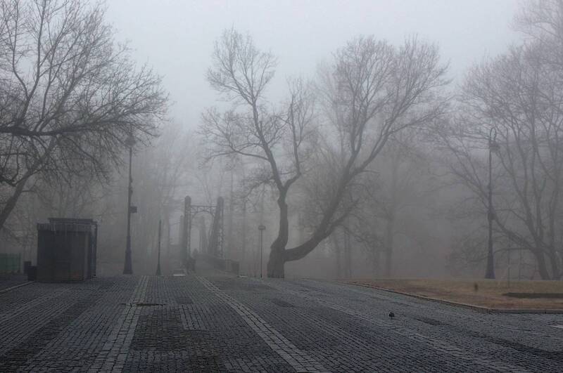 *** фото превью