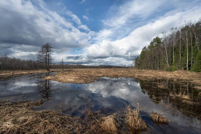 весенний паводок фото превью