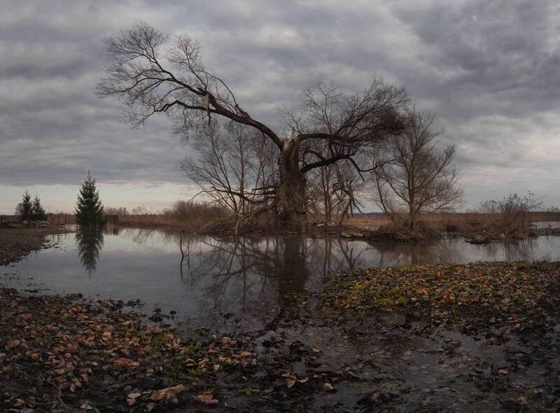 весна, природа, закат  фото превью