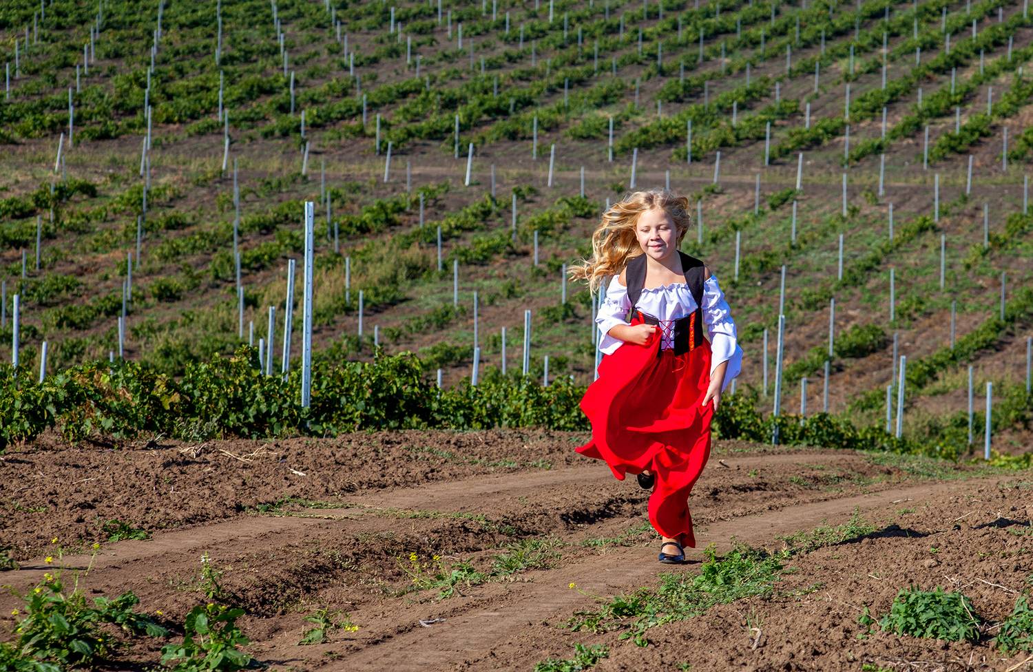 , Андрей Петросян