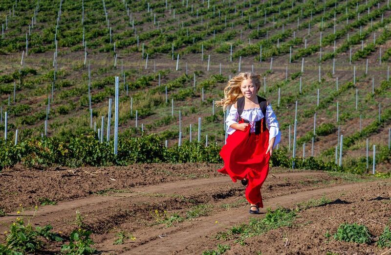 фото превью