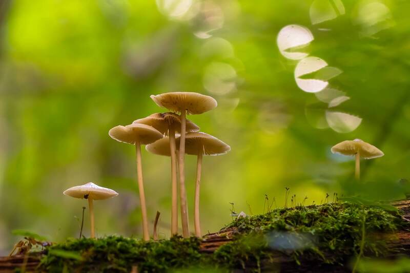 .... фото превью