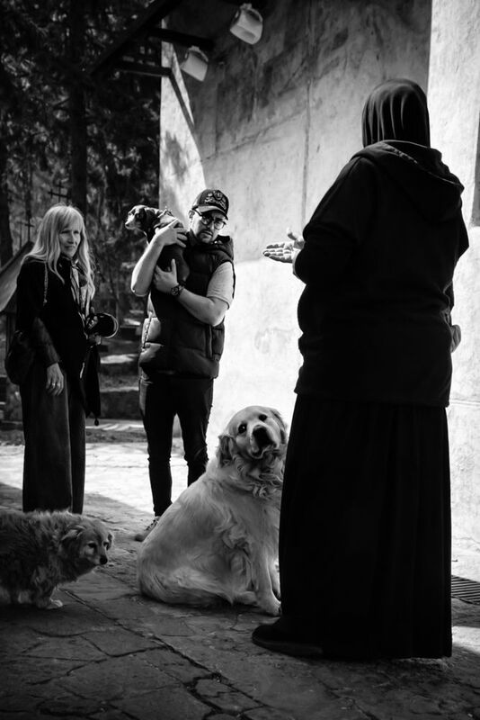 фото превью