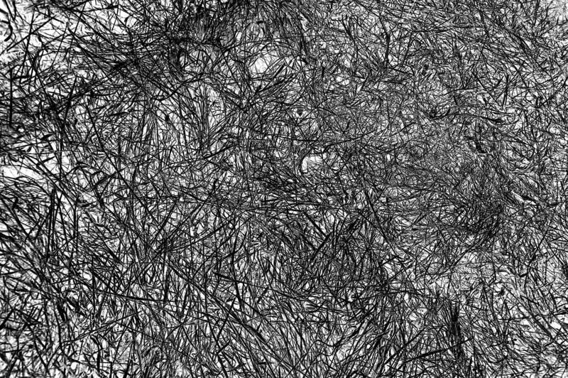 Инверт негатив прошлогодней травы фото превью