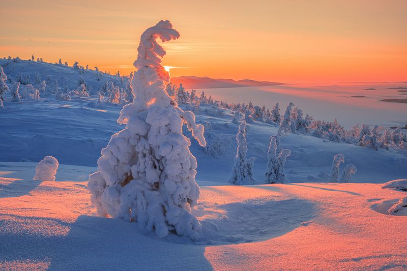 кольский Замёрз что ли? фото превью