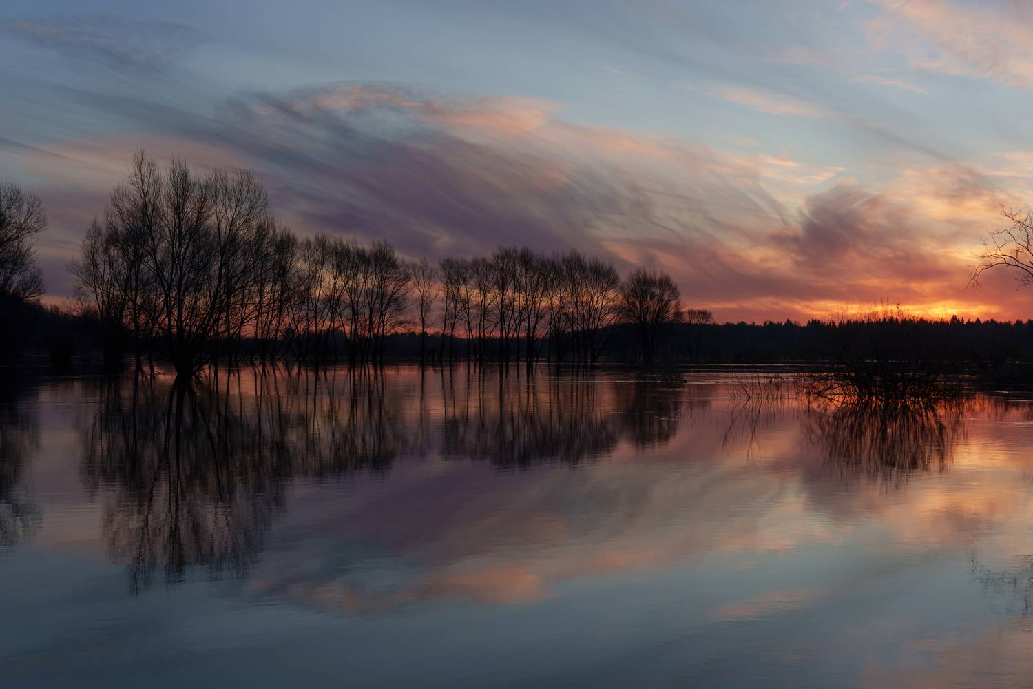 половодье, разлив, рассвет, Добродий Михаил
