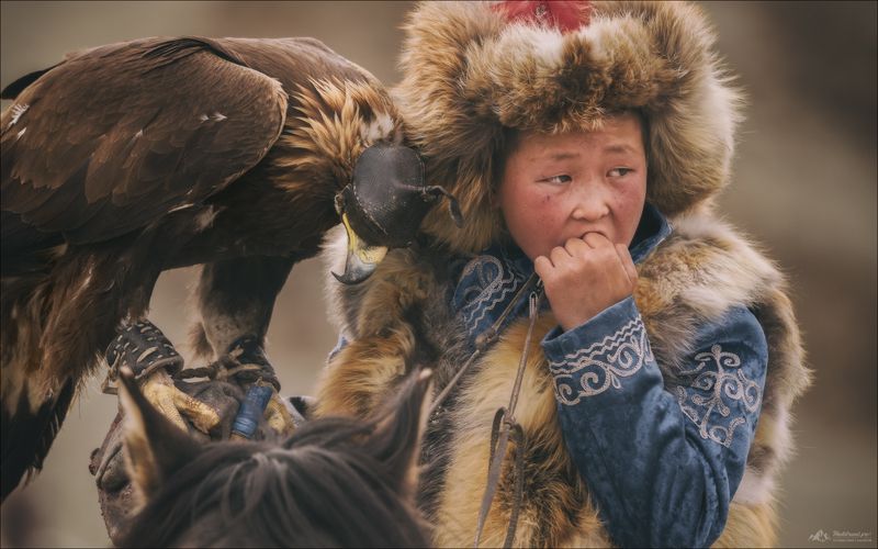 беркут, беркутчи, фототур в монголию, фототур на алтай, golden eagle festival, фестиваль беркутчи, фестиваль охотников с беркутами, осенний фототур на алтай, фототуры 2026, фототур 2026, фототур на алтай и в монголию Беркутчи фото превью