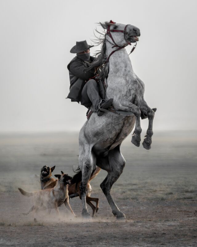 Dust and Rebellion фото превью