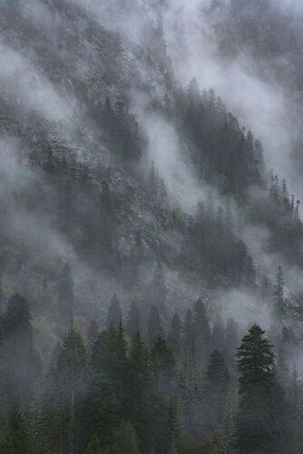 Утро ненастное