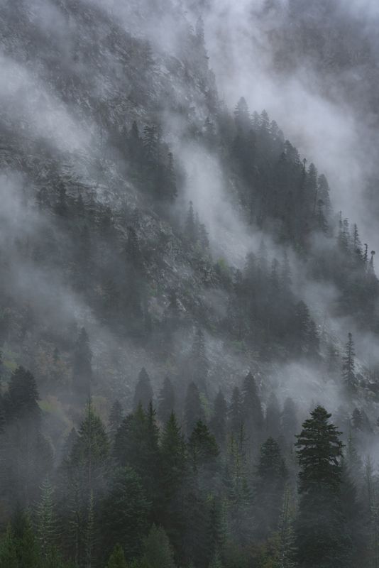 лес, облака, дождь, осень, кавказ Утро ненастное фото превью