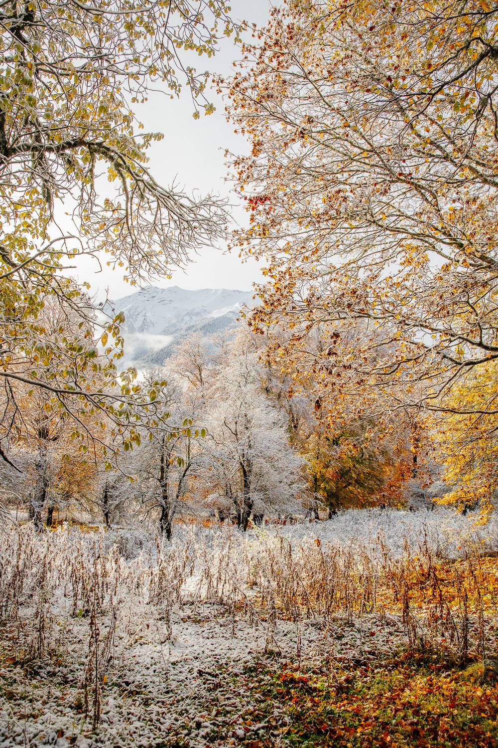 Осень, Пейзаж, Раздорова Мария
