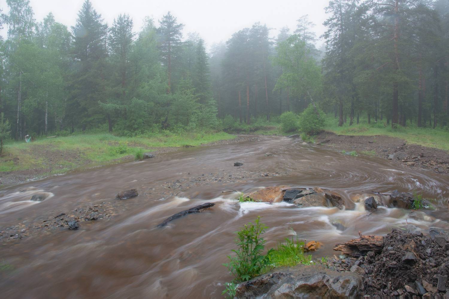 , Vladim Bormotov