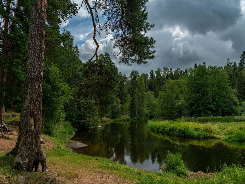 Река Оредеж фото превью