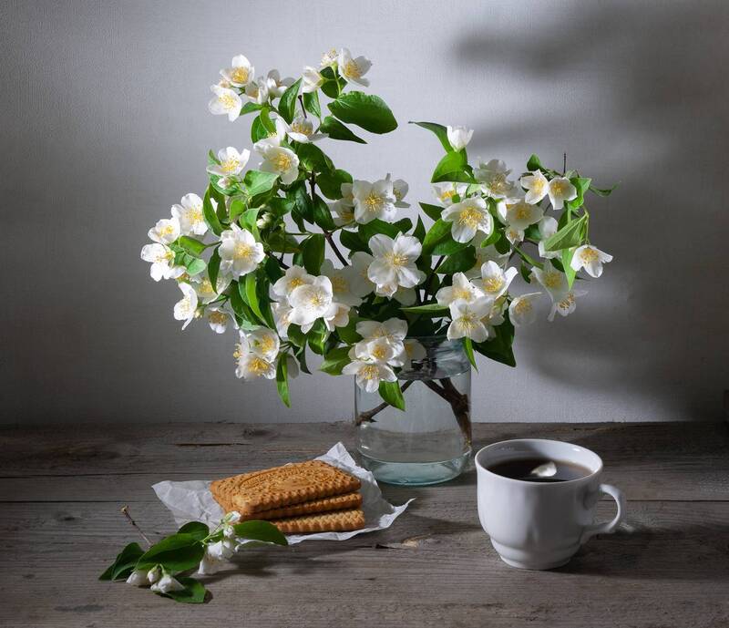 Остывший чай фото превью