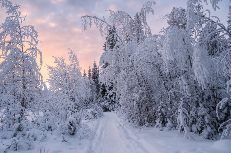 Зимняя сказка о тишине фото превью