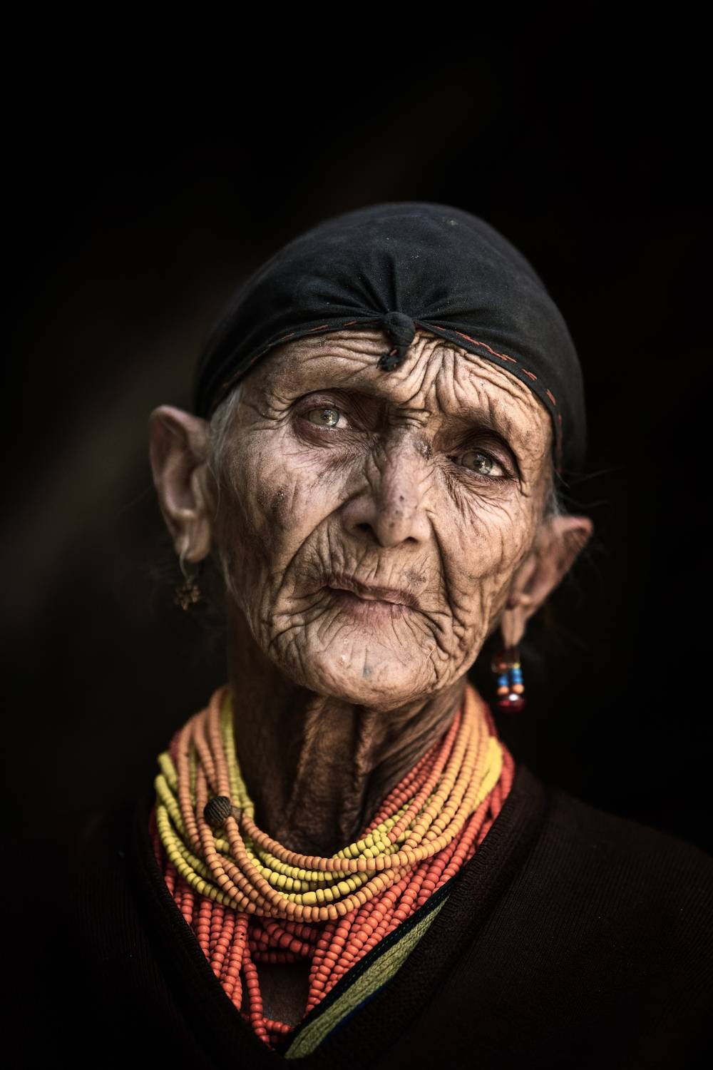 , Trevor Cole